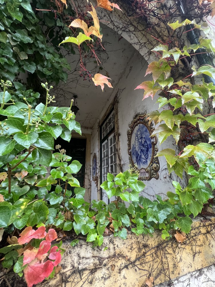 LuckyHiker.com - Caminho Portugues