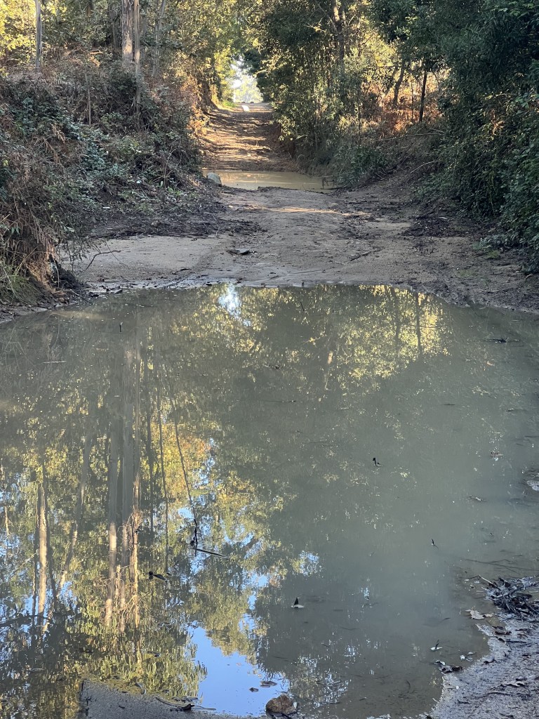 LuckyHiker.com - Caminho Portugues