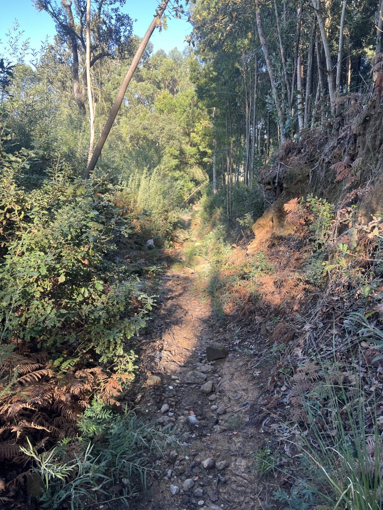 LuckyHiker.com - Caminho Portugues