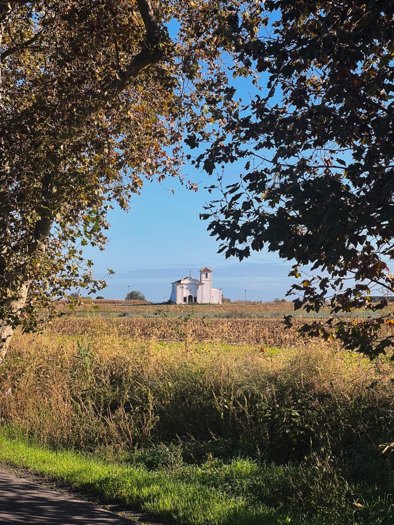 LuckyHiker.com - Caminho Portugues